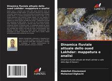 Bookcover of Dinamica fluviale attuale dello oued Lakhdar: mappatura e analisi
