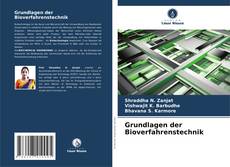 Capa do livro de Grundlagen der Bioverfahrenstechnik 