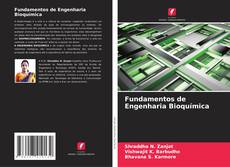Обложка Fundamentos de Engenharia Bioquímica