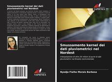 Bookcover of Smussamento kernel dei dati pluviometrici nel Nordest