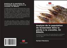 Bookcover of Analyse de la population de Sciaenidae dans la pêche à la crevette, SC BRAZIL
