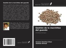 Buchcover von Gestión de la marchitez del guandú