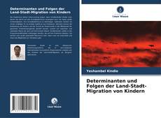 Capa do livro de Determinanten und Folgen der Land-Stadt-Migration von Kindern 