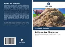 Brillanz der Biomasse kitap kapağı