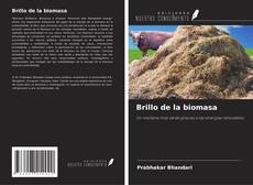 Brillo de la biomasa kitap kapağı