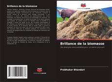 Buchcover von Brillance de la biomasse