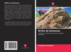 Bookcover of Brilho da biomassa
