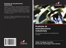 Bookcover of Pratiche di manutenzione industriale