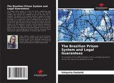 Buchcover von The Brazilian Prison System and Legal Guarantees