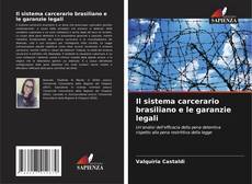 Bookcover of Il sistema carcerario brasiliano e le garanzie legali