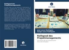 Reifegrad des Projektmanagements kitap kapağı