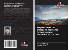 Bookcover of Preparazione del chitosano mediante fermentazione microbica in tre fasi