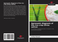 Buchcover von Agronomic diagnosis of the rice crop (Oriza sativa)