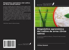 Diagnóstico agronómico del cultivo de arroz (Oriza sativa) kitap kapağı