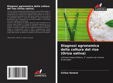 Copertina di Diagnosi agronomica della coltura del riso (Oriza sativa)