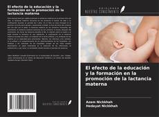 Обложка El efecto de la educación y la formación en la promoción de la lactancia materna