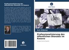 Copertina di Professionalisierung des öffentlichen Dienstes im Kosovo