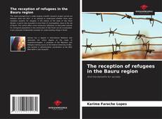 Capa do livro de The reception of refugees in the Bauru region 