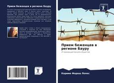 Capa do livro de Прием беженцев в регионе Бауру 