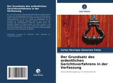 Capa do livro de Der Grundsatz des ordentlichen Gerichtsverfahrens in der Verfassung 