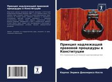 Bookcover of Принцип надлежащей правовой процедуры в Конституции