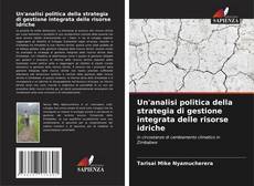 Bookcover of Un'analisi politica della strategia di gestione integrata delle risorse idriche
