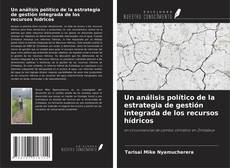 Un análisis político de la estrategia de gestión integrada de los recursos hídricos kitap kapağı