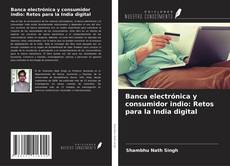 Capa do livro de Banca electrónica y consumidor indio: Retos para la India digital 