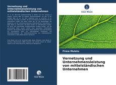 Bookcover of Vernetzung und Unternehmensleistung von mittelständischen Unternehmen