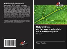 Bookcover of Networking e performance aziendale delle medie imprese