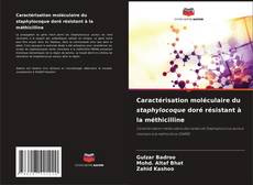 Buchcover von Caractérisation moléculaire du staphylocoque doré résistant à la méthicilline