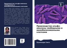 Capa do livro de Производство альфа-амилазы свободными и иммобилизованными клетками 