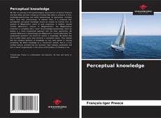 Perceptual knowledge kitap kapağı