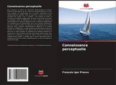 Bookcover of Connaissance perceptuelle