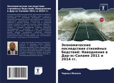 Portada del libro de Экономические последствия стихийных бедствий: Наводнения в Дар-эс-Саламе 2011 и 2014 гг.