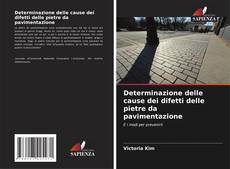 Bookcover of Determinazione delle cause dei difetti delle pietre da pavimentazione