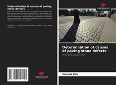 Determination of causes of paving stone defects kitap kapağı