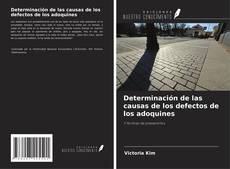 Buchcover von Determinación de las causas de los defectos de los adoquines