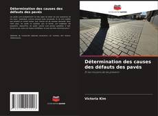 Bookcover of Détermination des causes des défauts des pavés