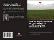 Bookcover of Contribution des écotypes de vesce velue à la matière organique particulaire du sol