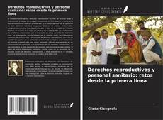 Buchcover von Derechos reproductivos y personal sanitario: retos desde la primera línea
