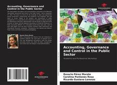 Accounting, Governance and Control in the Public Sector的封面