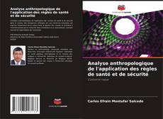 Bookcover of Analyse anthropologique de l'application des règles de santé et de sécurité