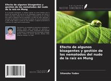 Capa do livro de Efecto de algunos bioagentes y gestión de los nematodos del nudo de la raíz en Mung 