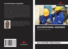 Bookcover of OCCUPATIONAL HAZARDS