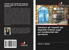 Bookcover of Valutare gli impatti del degrado urbano sugli usi residenziali del territorio