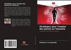 Bookcover of Stratégies pour l'emploi des jeunes en Tanzanie