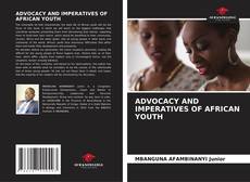 Portada del libro de ADVOCACY AND IMPERATIVES OF AFRICAN YOUTH