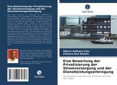 Bookcover of Eine Bewertung der Privatisierung der Stromversorgung und der Dienstleistungserbringung