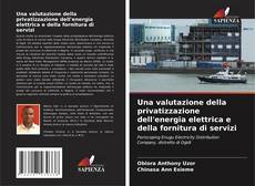 Bookcover of Una valutazione della privatizzazione dell'energia elettrica e della fornitura di servizi